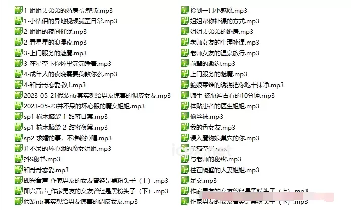 呜喵中文音声成年人的夜晚需要我教你么38部音频1.016G