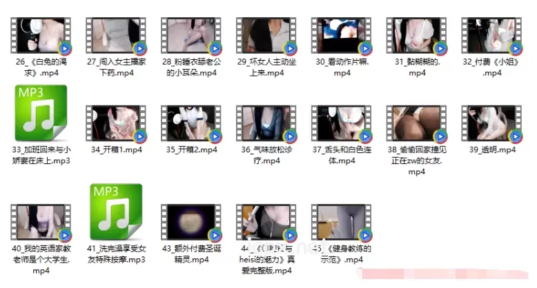 婉儿别闹众筹原版无水印17部视频+2音频4.68G（中）