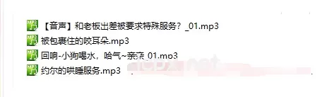 asmr中文音声芝恩㱏24年1月爱发电4部音频
