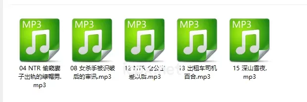 喵宝女杀手被识破后的审讯5部音频