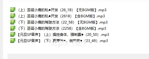 b站CV露珀塔Rupeta 元旦ASMR音声6部