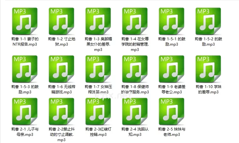 cv莉香保健师的治疗服务17部音频