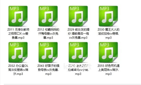 小野猫工作室近期音声合集8部
