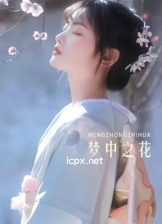 《YITUYU艺图语》全套图片包合集2689期476G 资源下载[持续更新]