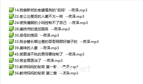 夜泽小姐姐我爸新找的老婆是我的”后妈11部音频