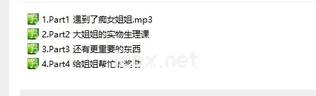 自购夜夕音声社最新音声公园的夜间痴女cv子音4部音频