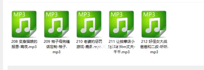 自购糖果屋工作室最新r18音声5部音频