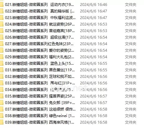铁锤姐姐-微密圈网盘资源全套合集[持续更新至NO.039期]