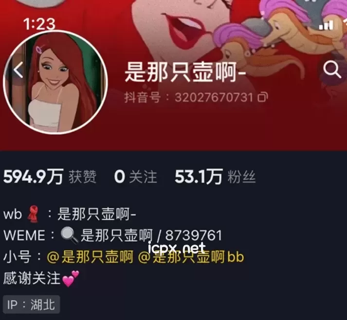 持续更新 是那只壶啊 最新微密圈资源合集 19套