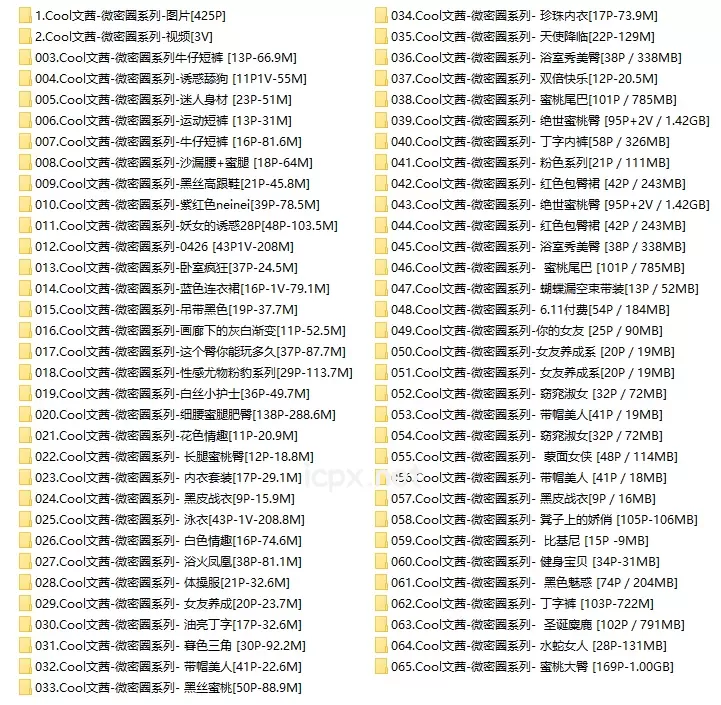 Cool文茜 微密圈系列套图&视频 网盘资源 持续更新至[61套]