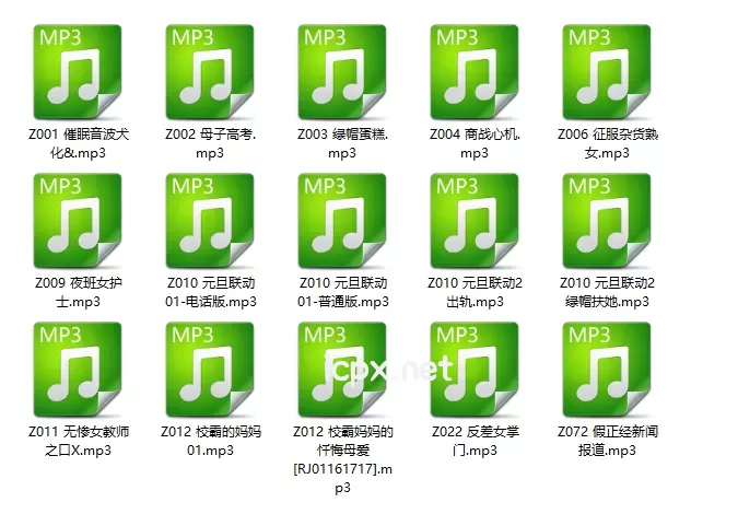 CV小野猫ASMR工作室剧情音声数字系列15部