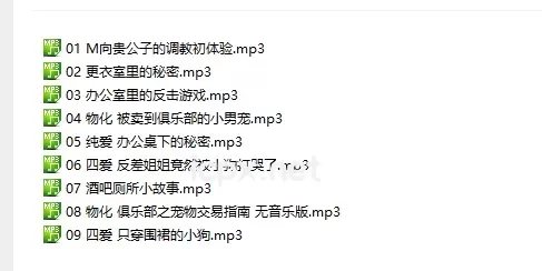 在下月十一福利音声9部音频合集