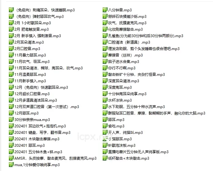 自购b站污喵哒音声50部音频+1部视频2.32G