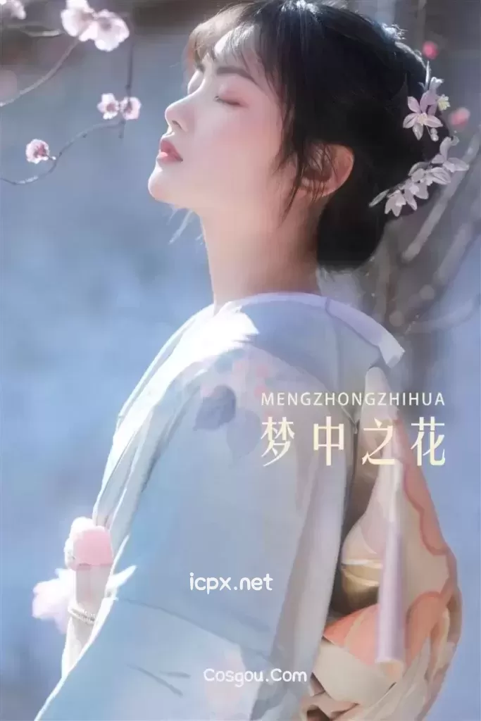 《YITUYU艺图语》全套图片包合集5787套1.5TGB资源下载[持续更新]